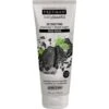 Freeman Charcoal &amp; Black Sugar Mud Mask