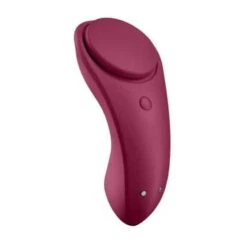 Satisfyer Sexy Secret Panty Vibrator Met App