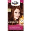 Schwarzkopf Poly Palette Haarverf 650 Kastanje Middenbruin